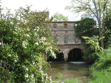 Arrière moulin vieux